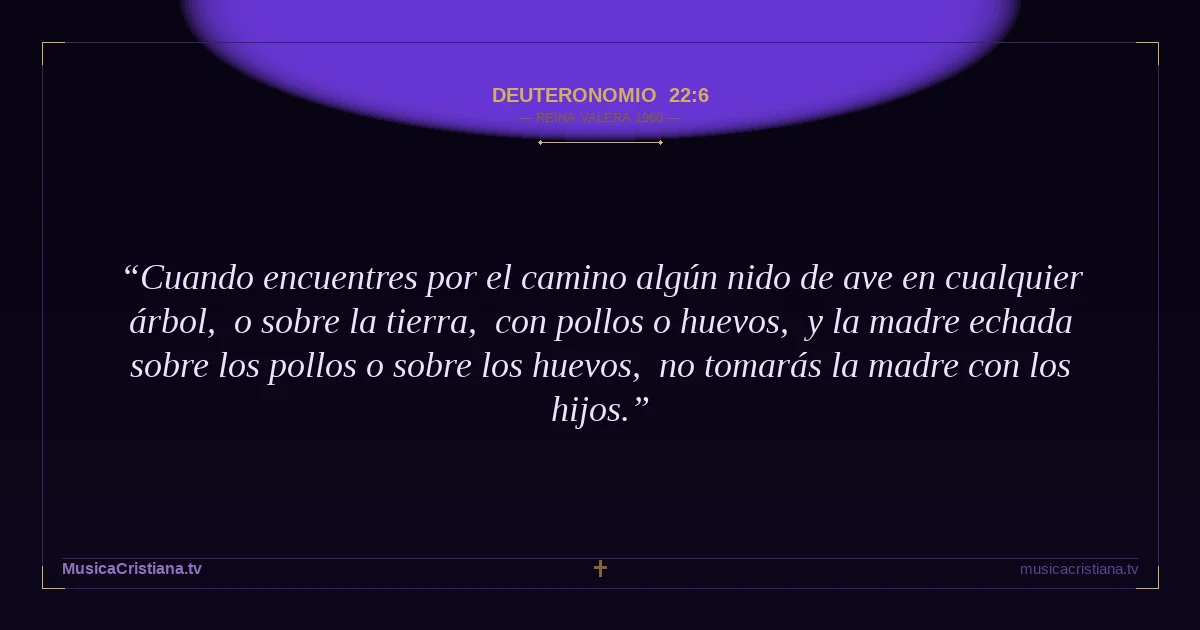 Deuteronomio 22:6 — Biblia Reina Valera 1960 — MusicaCristiana.tv