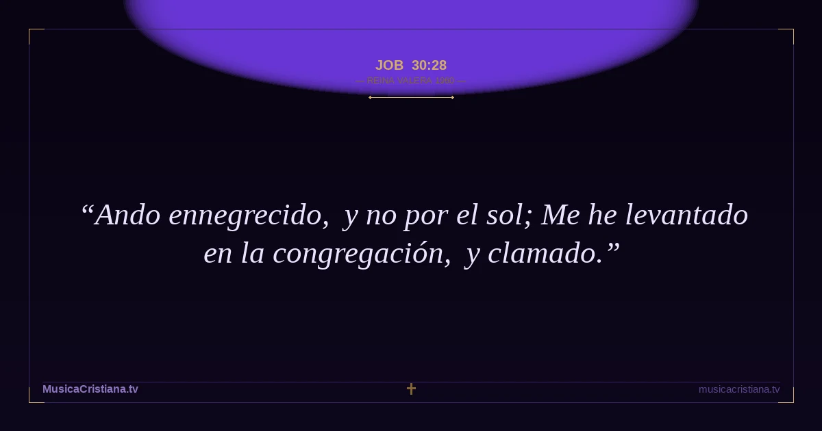 Job 30:28 — Biblia Reina Valera 1960 — MusicaCristiana.tv