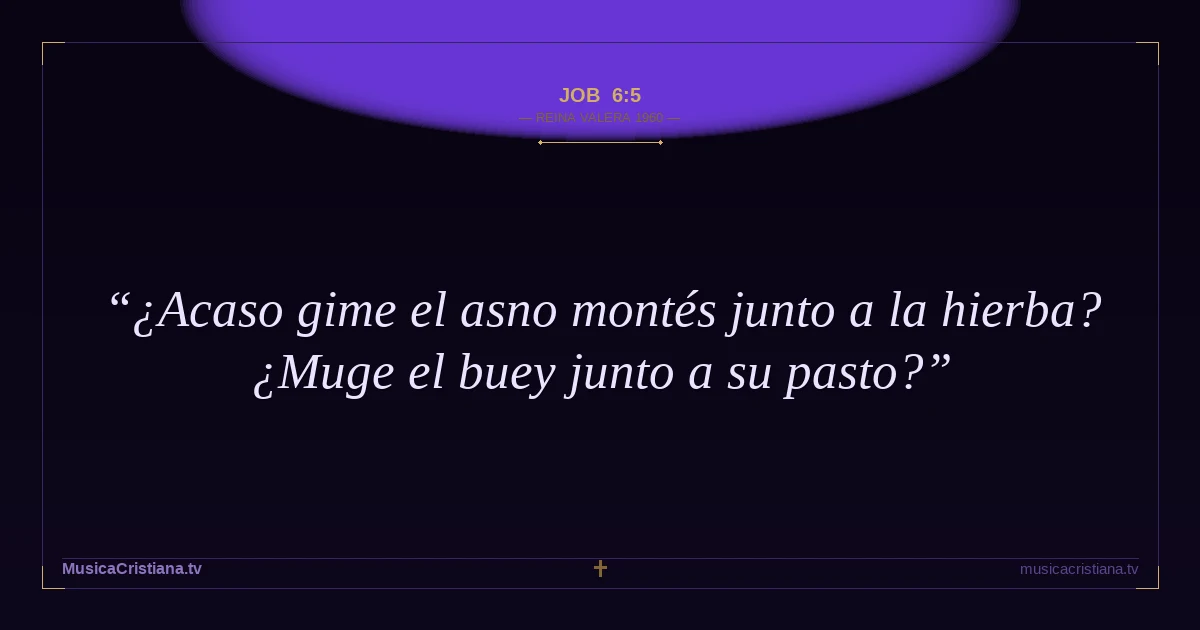 Job 6:5 — Biblia Reina Valera 1960 — MusicaCristiana.tv