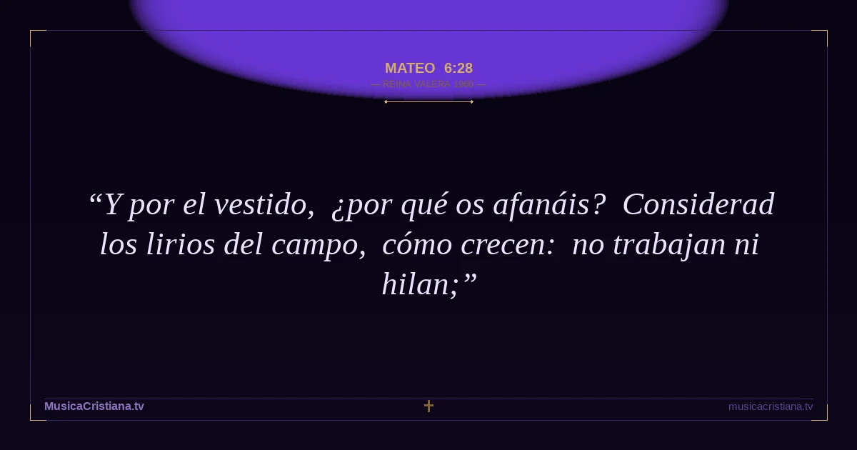 Mateo 6:28 — Biblia Reina Valera 1960 — MusicaCristiana.tv