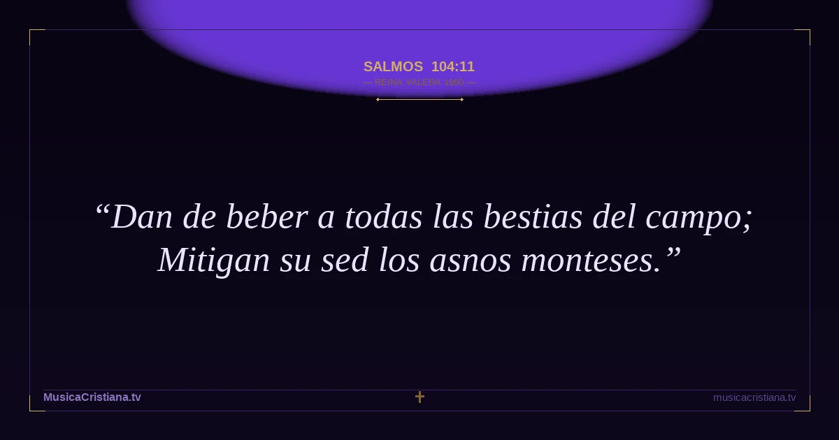 Salmos 104:11 — Biblia Reina Valera 1960 — MusicaCristiana.tv